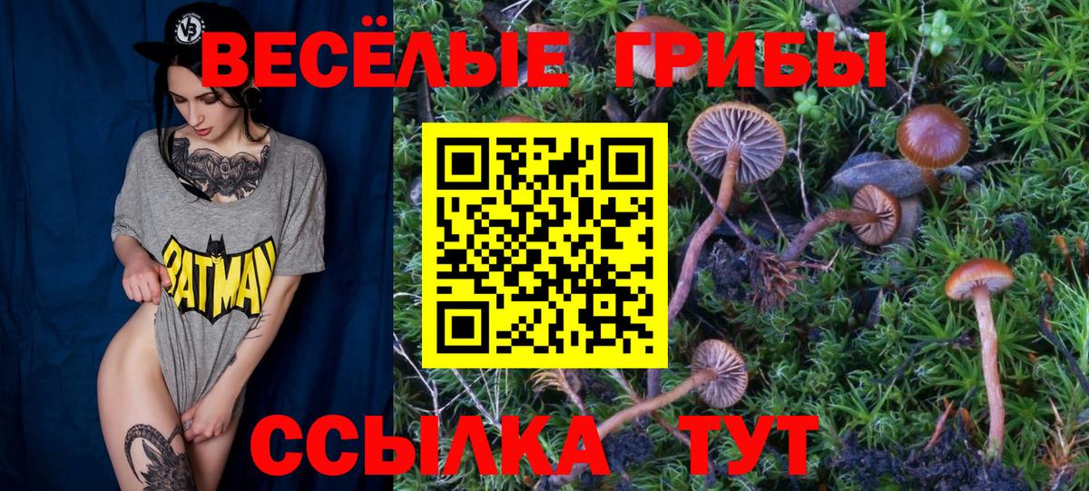 Королёв  Псилоцибиновые грибы GOLDEN TEACHER  Вход с VPN 